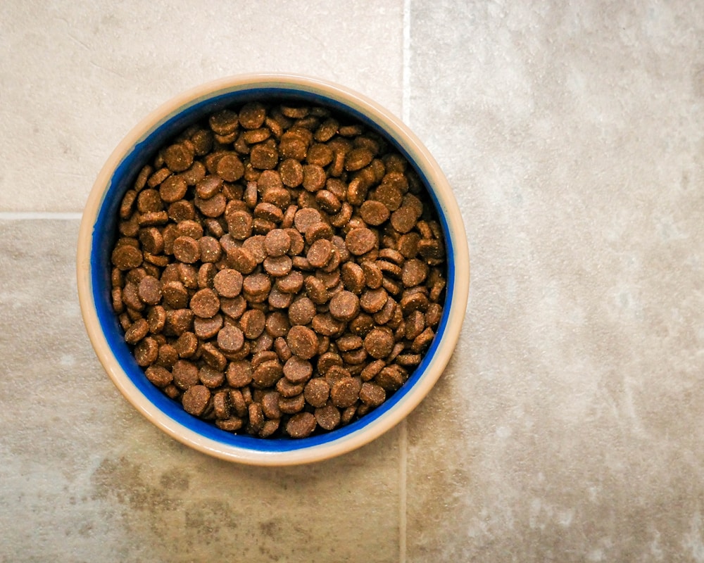 Pet food bowl